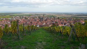 Réparation dégât des eaux Lingolsheim